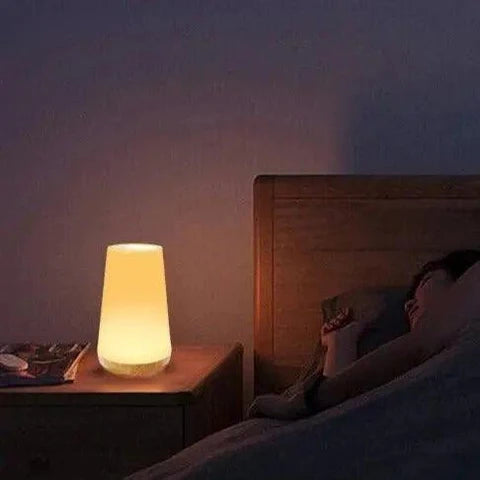 MoodGlow - Genopladelig Mood Lampe med Touch Control