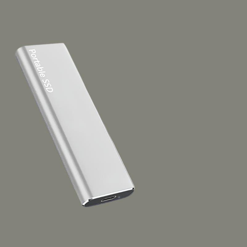 DataMate – Bærbar harddisk med USB-C til hurtig og sikker opbevaring