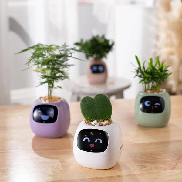 GrowPulse – Smart interaktiv plantepotte med AI-sensorer og animeret display