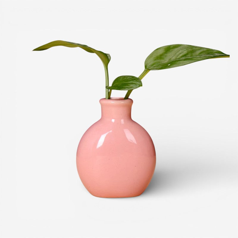 OrnaVase - Dekorativ Blomstervase til Indendørs Brug