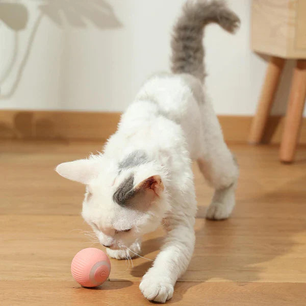 SpinBall – Interaktivt bevægelseslegetøj til katte med sensor til at undgå forhindringer