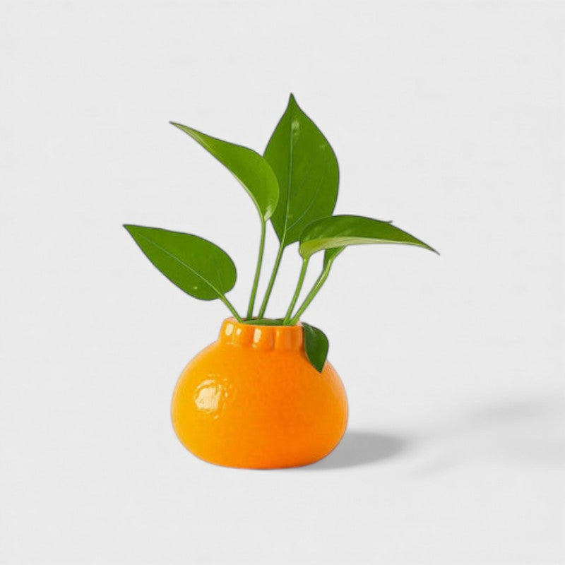 FruitAura - Blomstervase med Frugt inspireret Design