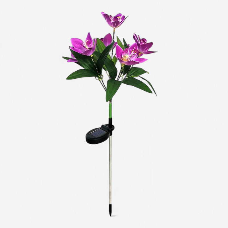 OrchidGlow – Solcelledrevet Orkidéhavelys med Farveskiftende LED’er
