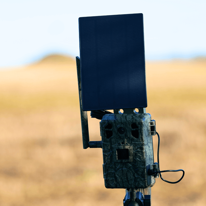 WildSnap – Solar-drevet 4G Wildlife-kamera med livestreaming og bevægelsesdetektion